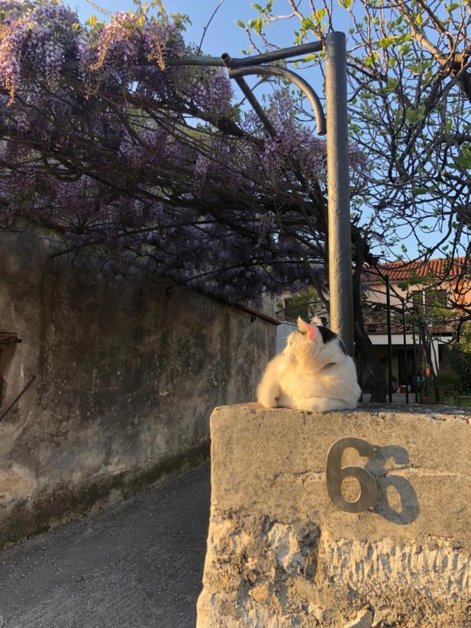 App Milija * Rovinj